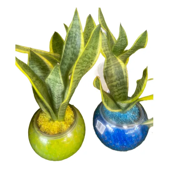 Bowl De Vidrio Fiestas Adornos Florero Jarron Briceros