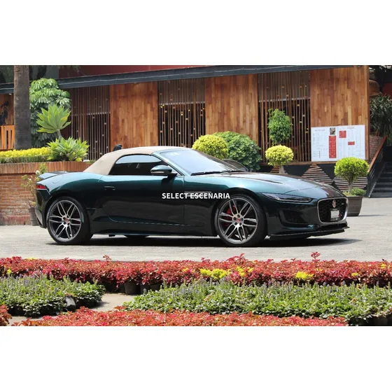 Jaguar F-type P380