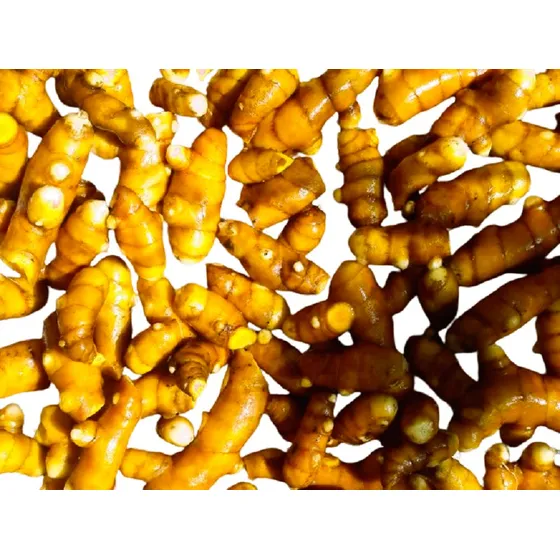 Cúrcuma Pura Uruguaya Sin Plomo Vivero Organico Cielo Verde