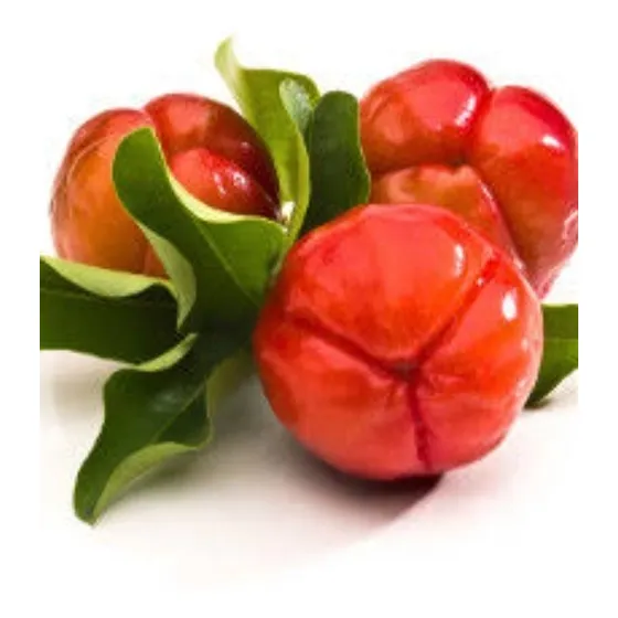 Acerola Doce 03 Mudas ( Envio Imediato)