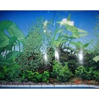 Rollo Fondo Decorativo Resistente Al Agua Para Acuarios F1