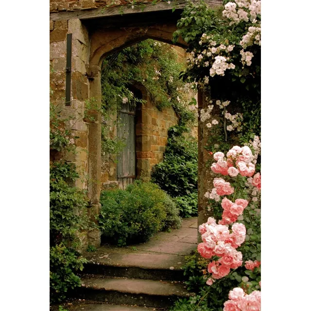 Aofoto Fondo Flor Jardin Vintage 5 X 7 Pie Fotografia Casa