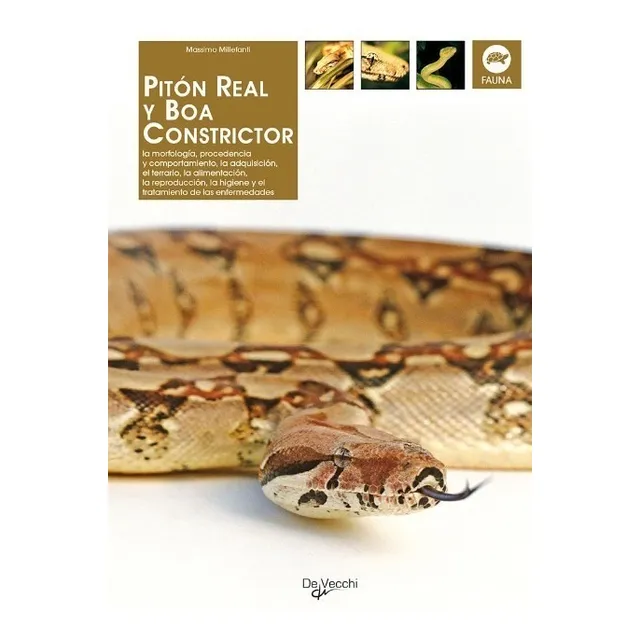 Piton Real Y Boa Constrictor