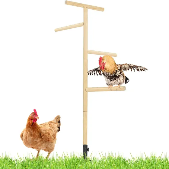Suporte De Poleiro De Pintinho Poleiro De Frango Moído Grand