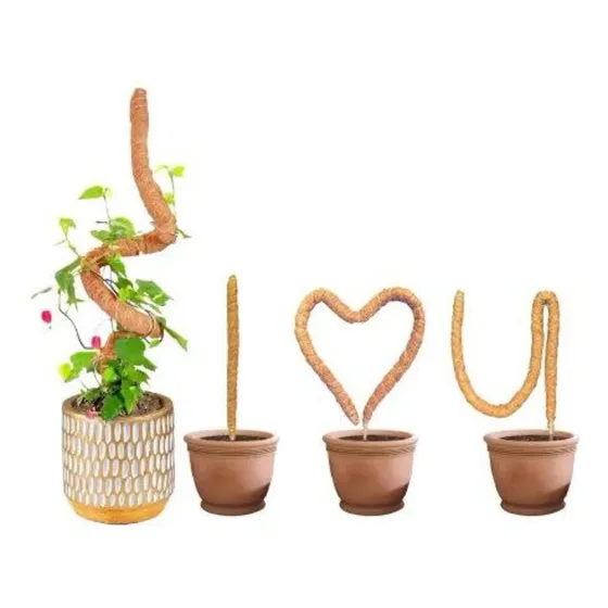 Suporte Tutor De Coco Para Plantas Trepadeiras Jibóia Hera