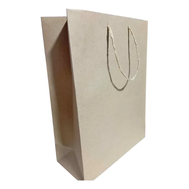 Bolsa De Papel Con Asa 18 X 26 X 8cm Color Kraf Pack 100 Und
