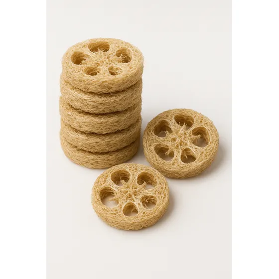 Discos Exfoliantes Esponja Vegetal Corporal Pack X 10