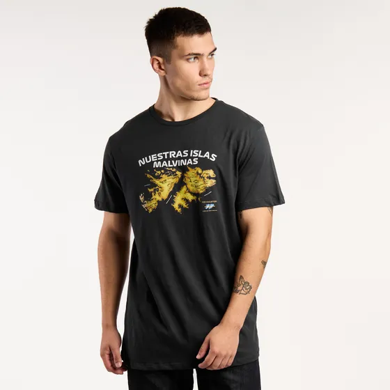 Remera Hombre Kevingston Florida Malvinas Gris Topo