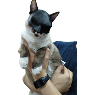Mascara De Batman / Batcat Para Gato Disfraz Mascara De Batman / Batcat Para Gato Disfraz