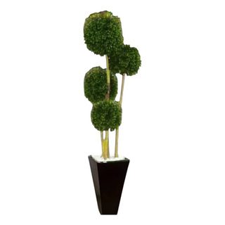 Bonsai Artificial Cuádruple Con Base Alta Bonsai Artificial Cuádruple Con Base Alta