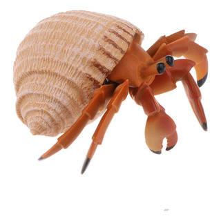 Cangrejo Ermitaño Modelo De Juguete Cangrejo Ermitaño Modelo De Juguete