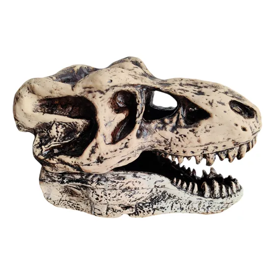Cabeza Fósil De T-rex Pasta Y Resina