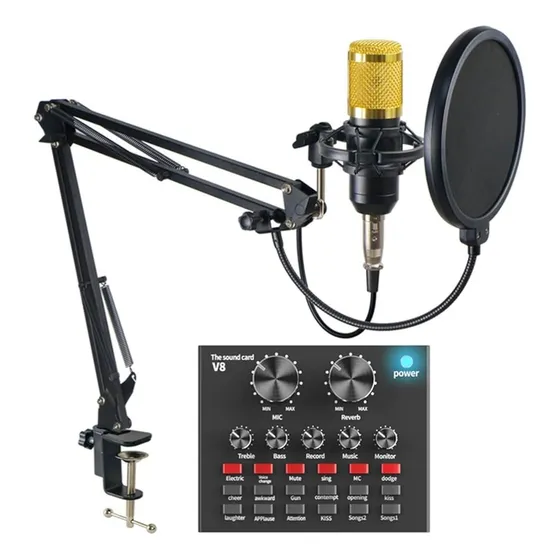 Microfono Condensador Pro Bm-800