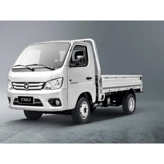 Foton Tm3 Cabina Simple 1.6 Euro Vi