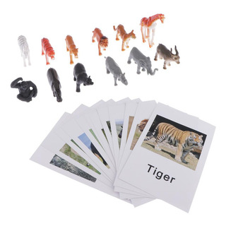 Tarjetas Y De Fósforos De Animales De Silvestre, Tarjetas Y De Fósforos De Animales De Silvestre,