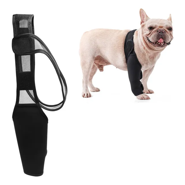 Rodillera Para Perros Cinturón Ortopédico Para Perros (m)
