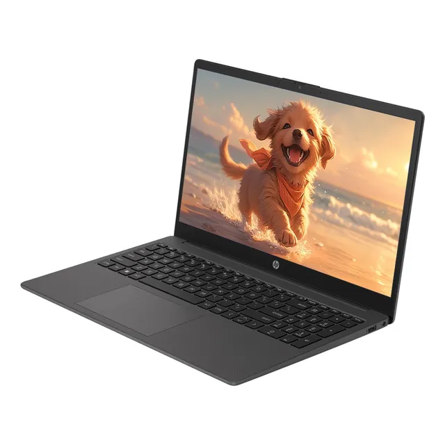 Notebook Hp 15.6 250 G10 I7 1355u 16gb Ssd 512gb W11 Pro