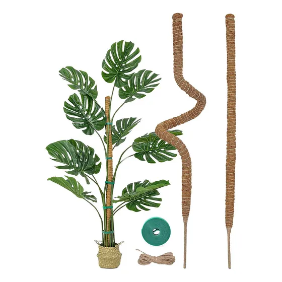 Kit 4 Tutor De Musgo Soporte Para Plantas 100cm/ Fibra Coco