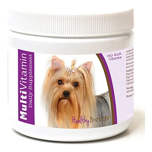 Razas Saludables Yorkshire Terrier Multi-vitamina R5iqt