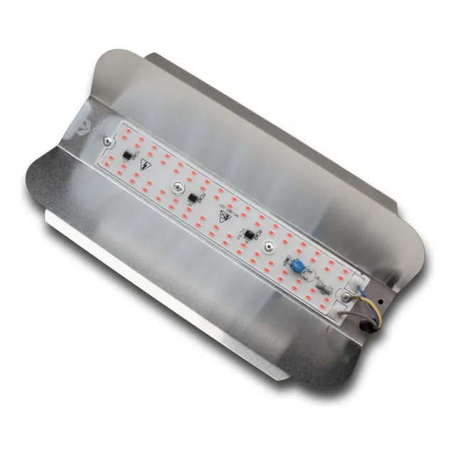 Led Cob 50w: Alta Intensidade Luminosa Economia
