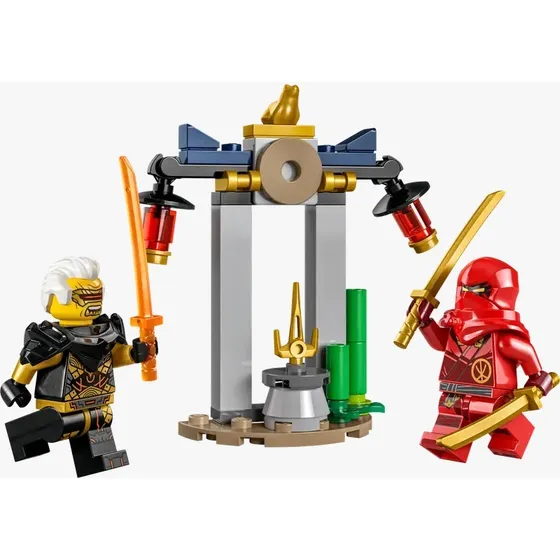 Lego Ninjago Dragons Rising 30650 47 Pzas