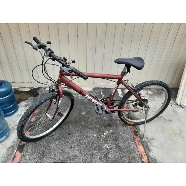 Bicicleta Rin 24