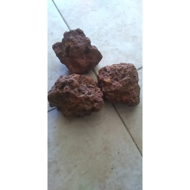 Ñangui