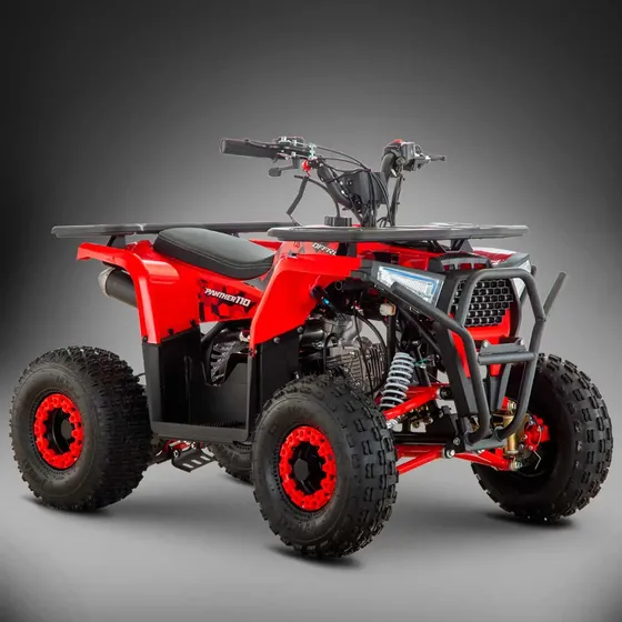 Panther 110 Cc