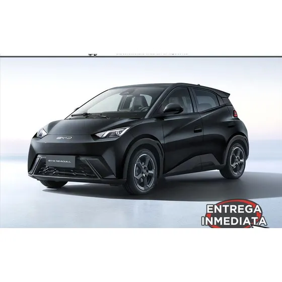 Byd Seagull 300