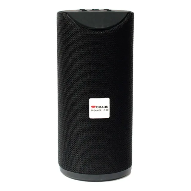 Parlante Inalambrico Portati Braun 1030  Bt 5.0 Radio Fm