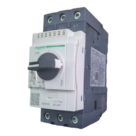 Guardamotor Schneider Gv3p65 3 Polos 48-65a 690v