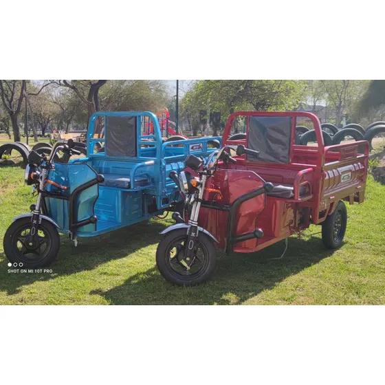 Torito Electrico 650w Soporta 500 Kilos Con Dual 