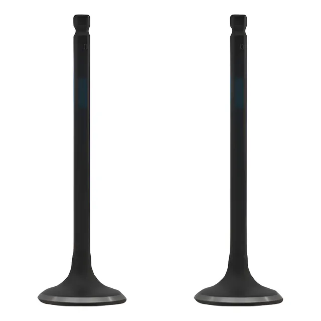 Valvula Dacomsa Para Dodge Attitude 1.4l 2006-2011 2 Piezas