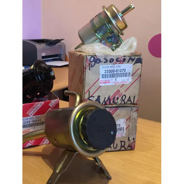 Filtro Gasolina Hierro