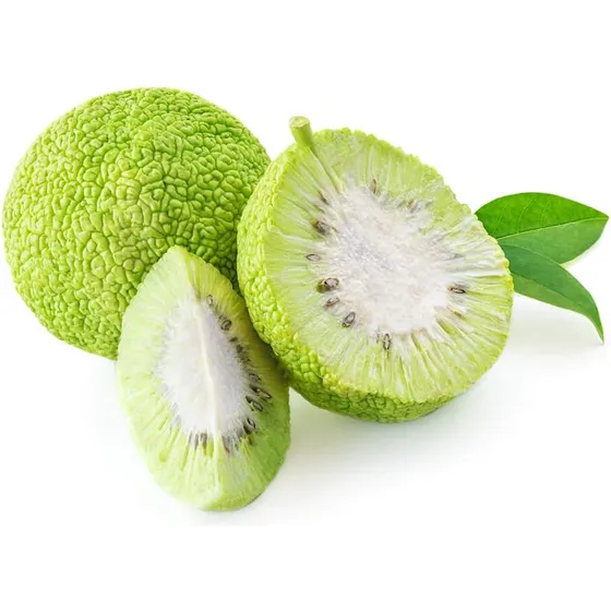 20 Semillas De Naranjo Osage Arbol Frutal Exotico