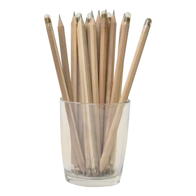 Lapiz Con Semillas Plantable - Pack X 20 Unidades