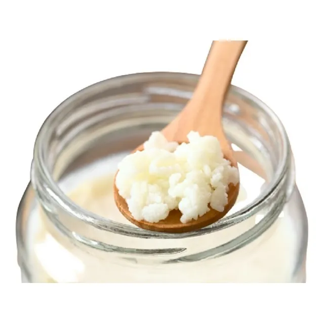 Kefir De Leche, Búlgaros, Hongos Yogurt, Gusanito -1/2 Litro
