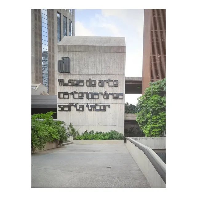 Libro Museo De Arte Contemporáneo De Caracas Su Colección
