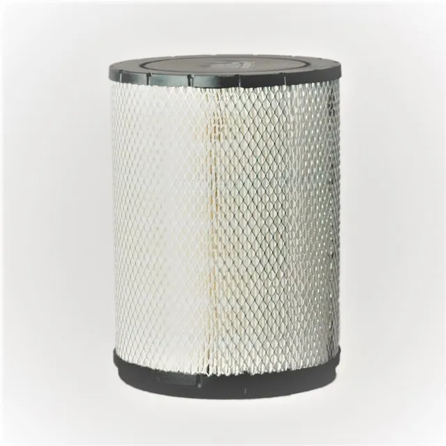 Filtro Aire Donaldson P181103  87047 Ca224 42047 12g Sr4 D4h