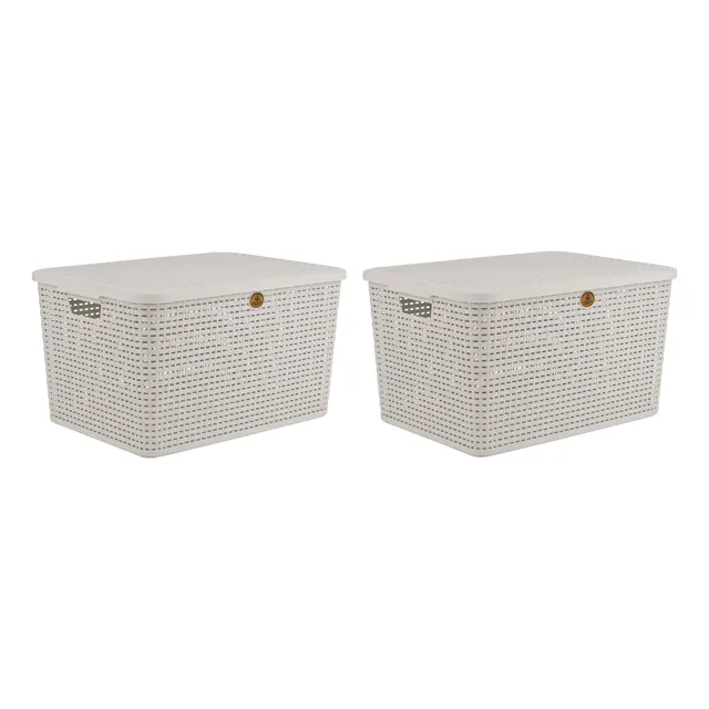 Pack 2 Canastas Organizadoras Chicas Con Tapa Color Blanco Caja Rattan Blanca