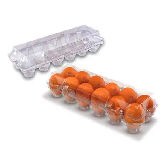 Caixa De Ovos 60 Unidades Para 12 De Galinha Cor Transparente B & L