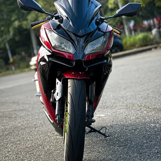 Kawasaki Ninja 300