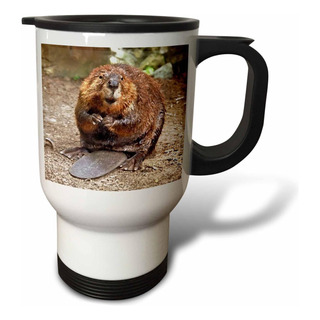 Taza De Viaje De 3drose Beaver, 14 Onzas Taza De Viaje De 3drose Beaver, 14 Onzas