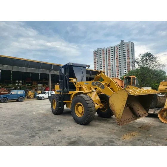 Cargador Frontal Sobre Llantas Xcmg Zl30g Cummins 6bt