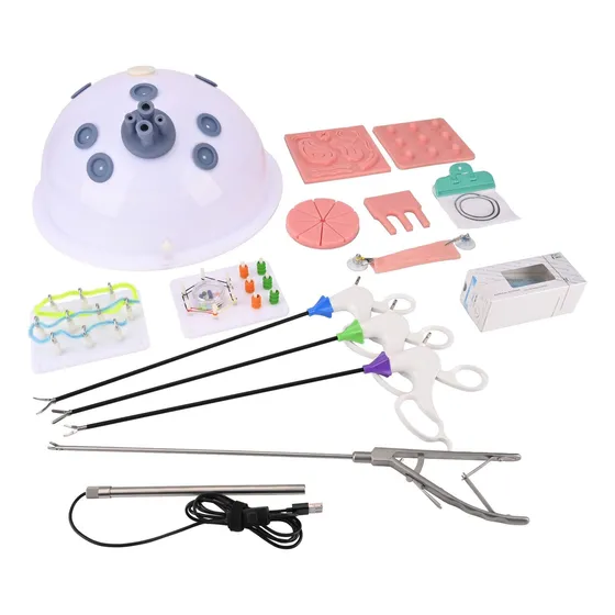 Animal Cavidad Abdominal Simulador Caja De Entrenamiento Kit