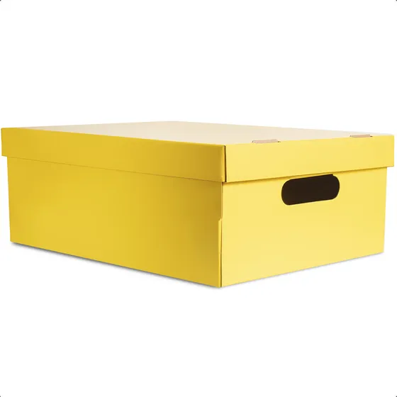 Caja Mediana Organizadora De Cartón Barnizada Color Amarillo