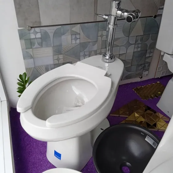 Wc Carlton Institucional Sanitario Con Fluxometro Manual