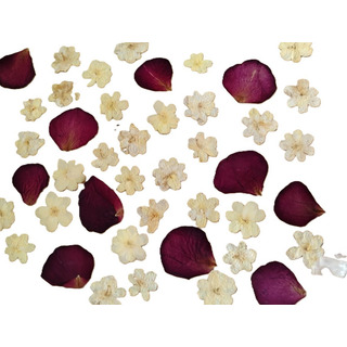 Flores Deshidratadas Para Manualidades Flores Secas Flores Deshidratadas Para Manualidades Flores Secas