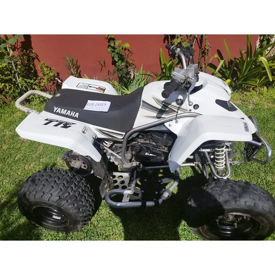 Yamaha Blaster 200 2t 2007