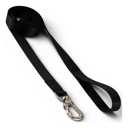 Coleira Guia Longa 2 Metros Para Cães Cachorro Basic Pet Cor Preto Tamanho Grande Adestramento Passeio